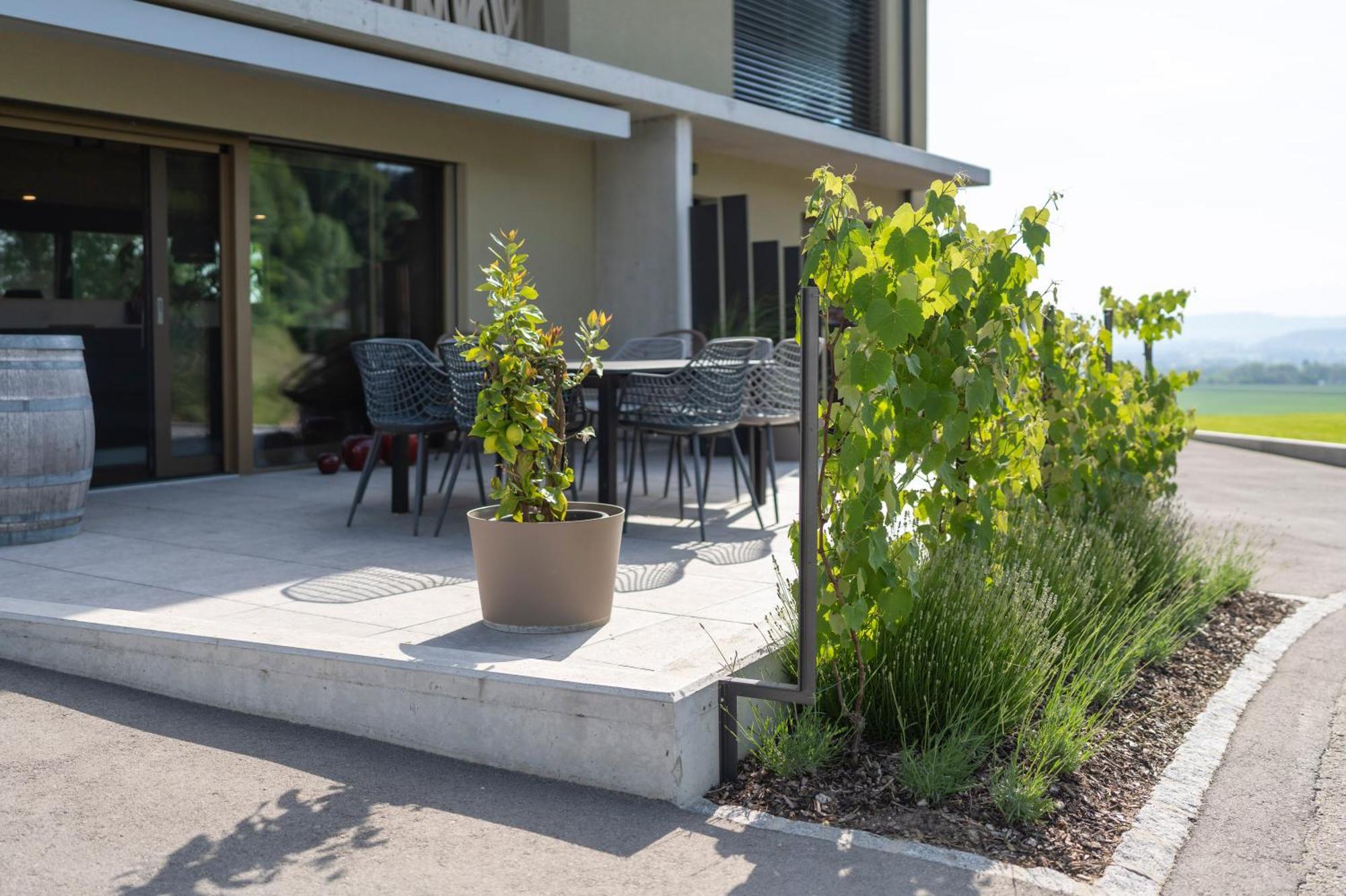 Le Rive Sud Hotel Estavayer-le-lac Luaran gambar